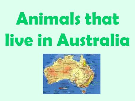 Animals that live in Australia