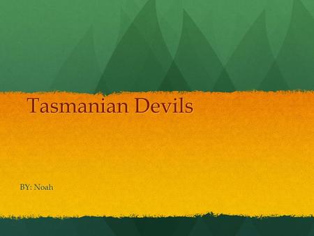 Tasmanian Devils BY: Noah Introduction I hope you enjoy my report about the Tasmanian Devil.