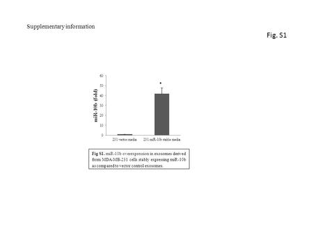 Fig S1. miR-10b overexpression in exosomes derived from MDA-MB-231 cells stably expressing miR-10b as compared to vector control exosomes. Supplementary.