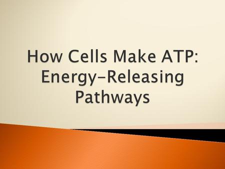  Cellular Respiration Aerobic Processes  Requires oxygen Anaerobic Processes  Do not require oxygen  Ex: Fermentation.