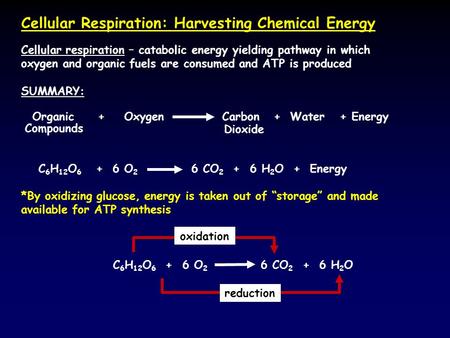 Cellular Respiration: Harvesting Chemical Energy Cellular respiration – catabolic energy yielding pathway in which oxygen and organic fuels are consumed.