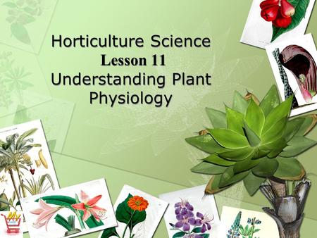 Horticulture Science Lesson 11 Understanding Plant Physiology.