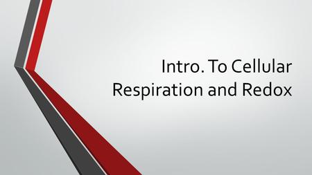 Intro. To Cellular Respiration and Redox. Big Picture Sun gives energy to plants Plants store energy as organic molecules Animals eat plants Energy eventually.