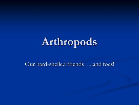 Our hard-shelled friends…..and foes!