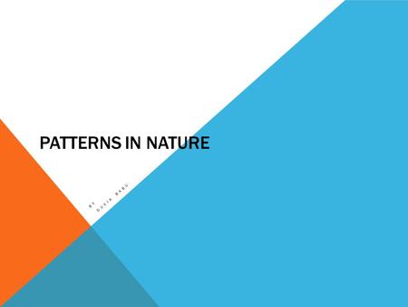 PATTERNS IN NATURE BY DUVIA BABU. INVERTEBRATES Animals that don’t have backbone are called invertebrates For example: prawns crabs shrimps snails and.