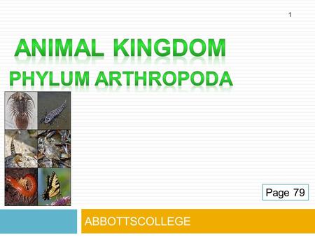 ABBOTTSCOLLEGE Page 79 1. 2 From the Greek ἄ ρθρον (árthron - joint“) & ποδός (podós - leg“) Includes insects, arachnids, and crustaceans Most abundant.