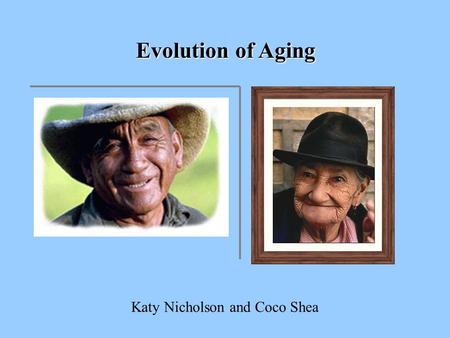 Evolution of Aging Katy Nicholson and Coco Shea. Why do organisms age?