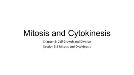 Mitosis and Cytokinesis