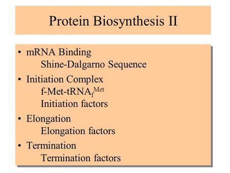 Protein Biosynthesis II mRNA Binding Shine-Dalgarno Sequence Initiation Complex f-Met-tRNA f Met Initiation factors Elongation Elongation factors Termination.