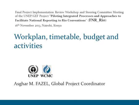 Workplan, timetable, budget and activities Asghar M. FAZEL, Global Project Coordinator Final Project Implementation Review Workshop and Steering Committee.