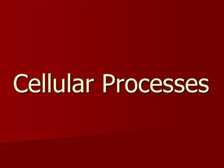 Cellular Processes. THE CELL IN ITS ENVIRONMENT 1. How do small substances move into and out of the cell? Diffusion Diffusion Osmosis Osmosis Active.