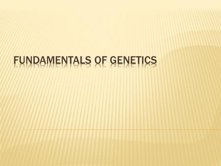 Fundamentals of GeNetics