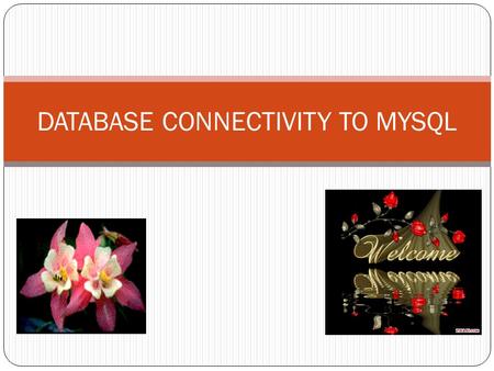 DATABASE CONNECTIVITY TO MYSQL. Introduction =>A real life application needs to manipulate data stored in a Database. =>A database is a collection of.