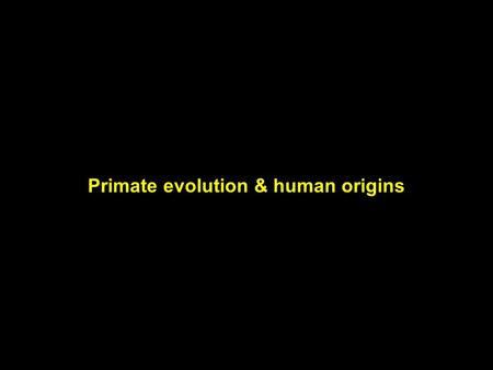 Primate evolution & human origins. Light will be thrown on the origin of man and his history Darwin, 1859 During many years I collected notes on the origin.