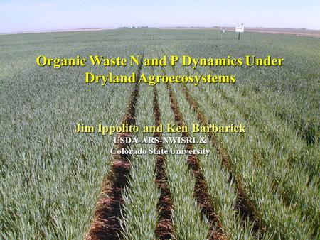 Organic Waste N and P Dynamics Under Dryland Agroecosystems Jim Ippolito and Ken Barbarick USDA-ARS-NWISRL & Colorado State University.