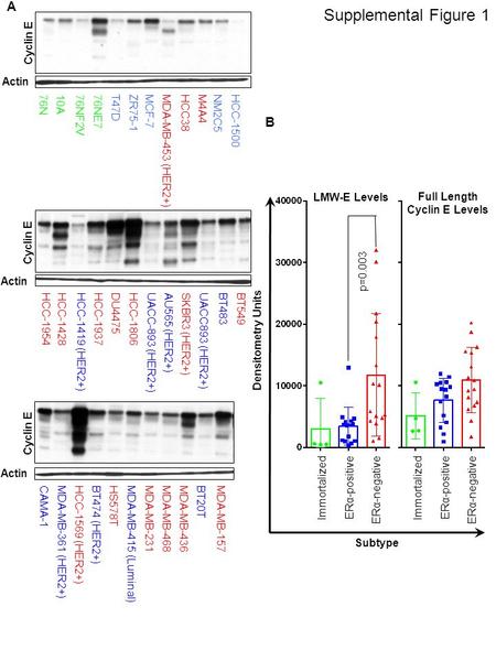 CAMA-1MDA-MB-361 (HER2+)HCC-1569 (HER2+)BT474 (HER2+)HS578TMDA-MB-415 (Luminal)MDA-MB-231MDA-MB-468MDA-MB-436BT20TMDA-MB-157 76N10A76NF2V76NE7T47DZR75-1MCF-7MDA-MB-453.