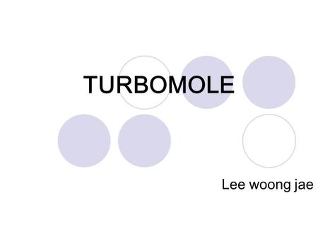 TURBOMOLE Lee woong jae.