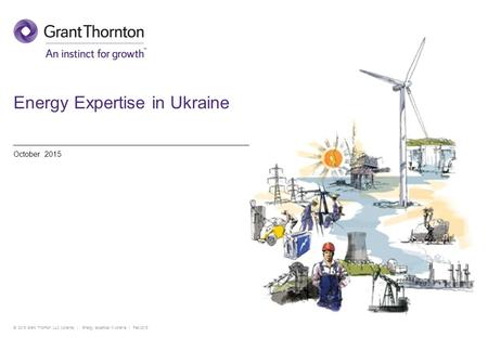 Energy Expertise in Ukraine