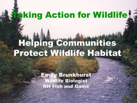 Helping Communities Protect Wildlife Habitat Emily Brunkhurst Wildlife Biologist NH Fish and Game Taking Action for Wildlife.