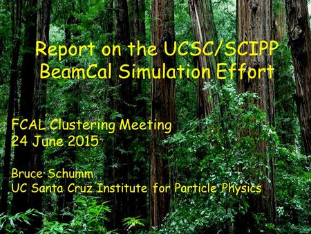 Report on the UCSC/SCIPP BeamCal Simulation Effort FCAL Clustering Meeting 24 June 2015 Bruce Schumm UC Santa Cruz Institute for Particle Physics.