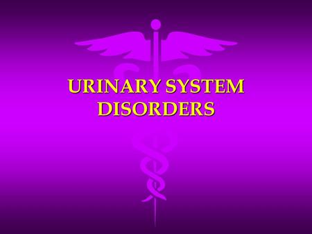 URINARY SYSTEM DISORDERS. Cystitis (bladder infection) An inflammation of the urinary bladder An inflammation of the urinary bladder More common in women.