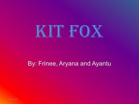 6/14/2011 Kit Fox By: Frinee, Aryana and Ayantu. 6/14/2011 What does this animal look like?