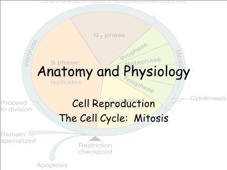 Anatomy and Physiology