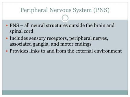 Peripheral Nervous System (PNS)