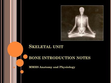 S KELETAL UNIT BONE INTRODUCTION NOTES MMHS Anatomy and Physiology.