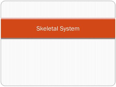 Skeletal System.