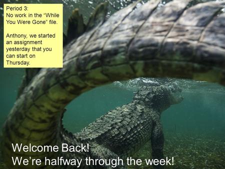 Period 3: No work in the “While You Were Gone” file. Anthony, we started an assignment yesterday that you can start on Thursday. Welcome Back! We’re halfway.