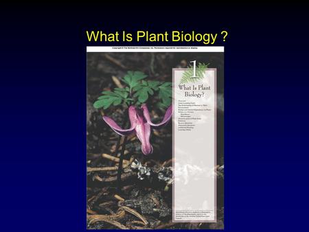 What Is Plant Biology ? Chapter 1. Outline Human and Animal Dependence on Plants Botany as a Science  Scientific Method Diversification of Plant Study.