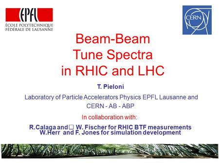 T. Pieloni Laboratory of Particle Accelerators Physics EPFL Lausanne and CERN - AB - ABP Beam-Beam Tune Spectra in RHIC and LHC In collaboration with: