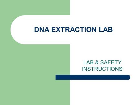 DNA EXTRACTION LAB LAB & SAFETY INSTRUCTIONS. PROCEDURE… 1. Get 2 cups from the front table. 2. Mark one cup “Cheek” with your initials 3. Mark the other.