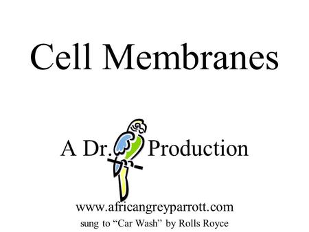 Cell Membranes A Dr. Production www.africangreyparrott.com sung to “Car Wash” by Rolls Royce.