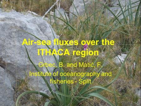 Air-sea fluxes over the ITHACA region Grbec, B. and Matić, F. Institute of oceanography and fisheries - Split.