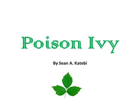 Poison Ivy By Sean A. Katebi