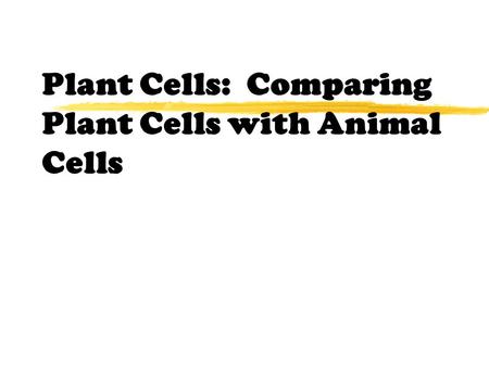 Plant Cells: Comparing Plant Cells with Animal Cells.