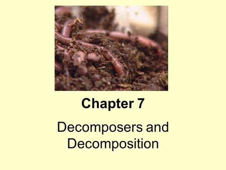 Decomposers and Decomposition