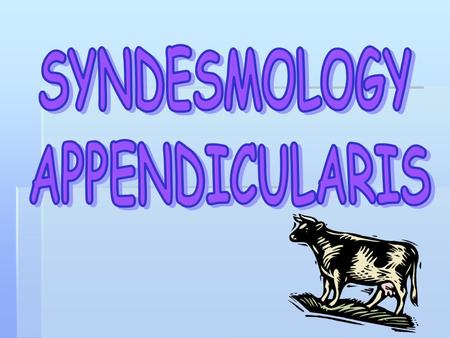 SYNDESMOLOGY APPENDICULARIS.