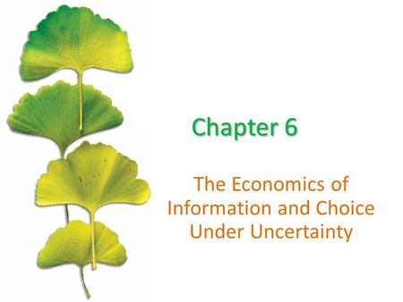 The Economics of Information and Choice Under Uncertainty.