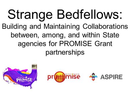 Strange Bedfellows: Building and Maintaining Collaborations between, among, and within State agencies for PROMISE Grant partnerships.