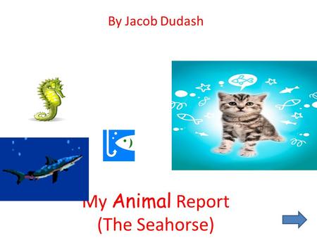 My Animal Report (The Seahorse) By Jacob Dudash Introduction I chose the Seahorse for three reasons. The first one is I like the sea, and horses. I also.