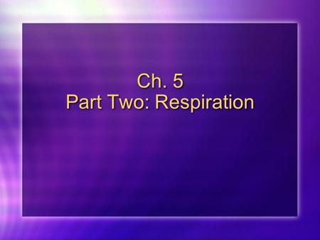 Ch. 5 Part Two: Respiration. Cellular Respiration Respiration Transfers the energy in organic compounds (glucose) to make ATP C 6 H 12 O 6 + 6O 2 -----