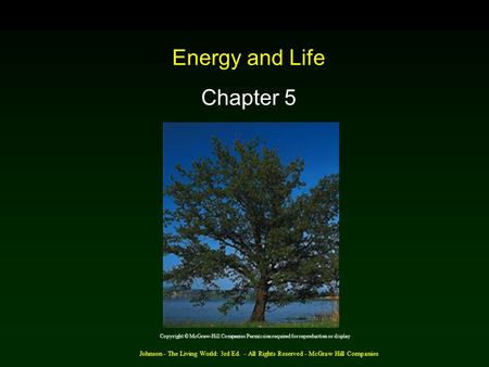 Johnson - The Living World: 3rd Ed. - All Rights Reserved - McGraw Hill Companies Energy and Life Chapter 5 Copyright © McGraw-Hill Companies Permission.