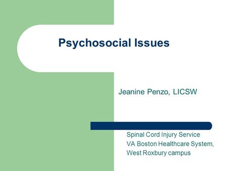 Psychosocial Issues Jeanine Penzo, LICSW Spinal Cord Injury Service VA Boston Healthcare System, West Roxbury campus.