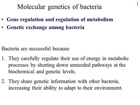 1 Molecular genetics of bacteria Gene regulation and regulation of metabolism Genetic exchange among bacteria Bacteria are successful because 1.They carefully.