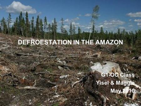 DEFROESTATION IN THE AMAZON