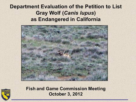 Department Evaluation of the Petition to List Gray Wolf (Canis lupus) as Endangered in California Fish and Game Commission Meeting October 3, 2012.