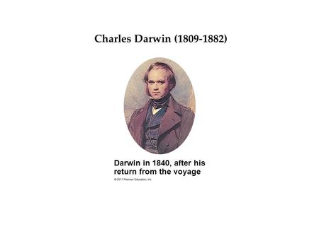 Darwin in 1840, after his return from the voyage Darwin’s Big Idea Charles Darwin (1809-1882)